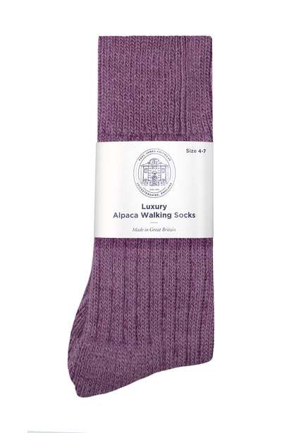 purple alpaca walking socks